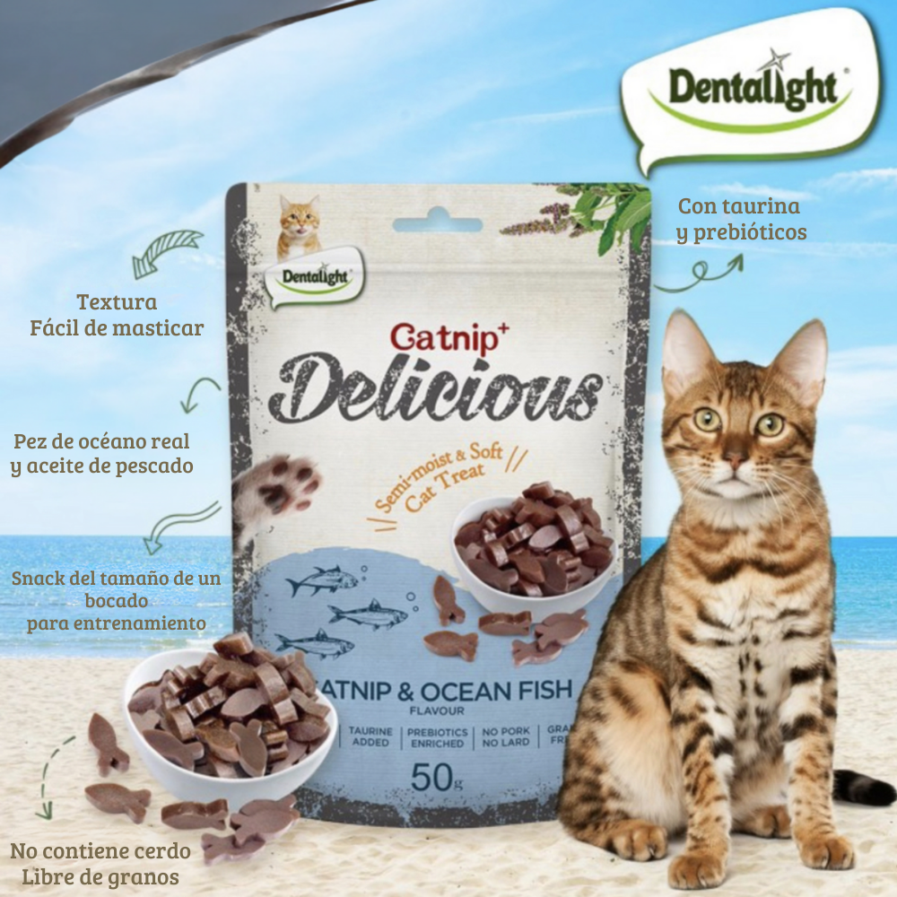 Cats Snack Delicius Catnip y Pescado 50g