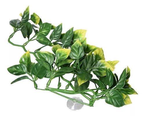 Exoterra Planta Plastica Amapallo Small