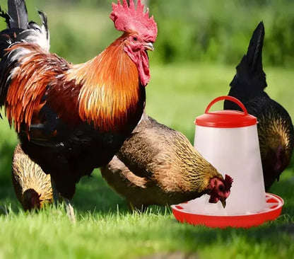 Comedero Para Gallinas o Aves de Granja o Pajareras 6kg