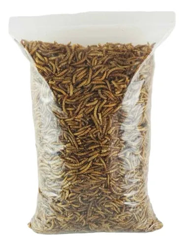 Tenebrios Deshidratados 1Kg