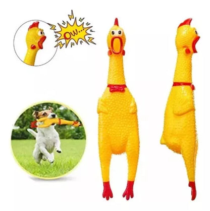 Pollo Chillon Pequeño 17cm