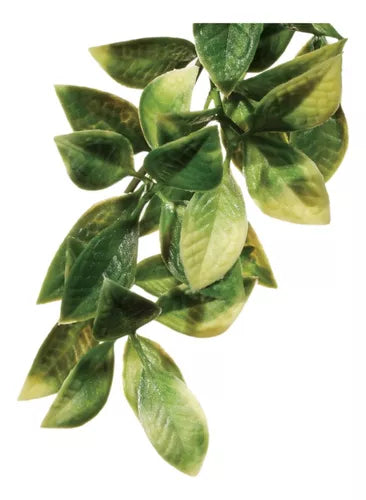 Exoterra Planta Plastica Mandarin Small