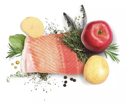 Alimento Humedo Salmón Perro Adulto LATA 380gr - Dibaq Sense