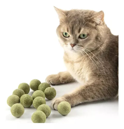 Juguete Para Gatos Set De 5 Pelotas de Catnip 3cm