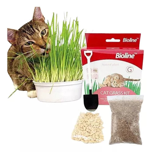 Bioline Cat Grass kit (Kit de Pasto para gatos)