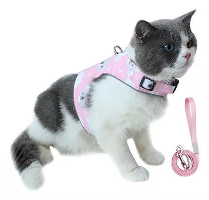 Arnes Gato Diseños M
