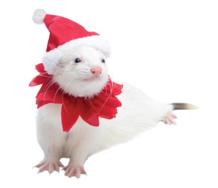 Sueter Santa Suit