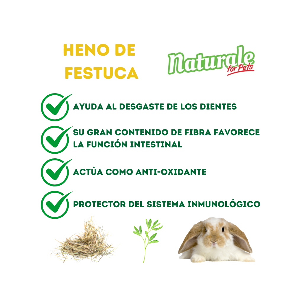 NFP Heno de Festuca Naturale 600g