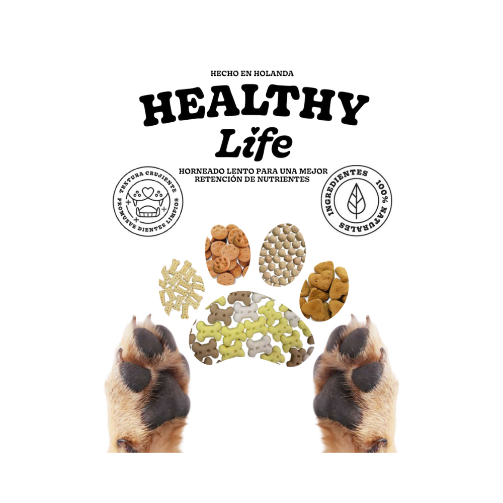 Galletas Para Perro Healthy Life Sabor Pollo 400g