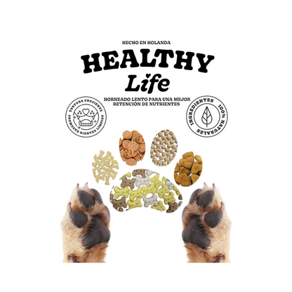 Galletas Para Perro Healthy Life Sabor Pavo y Cranberry 400g