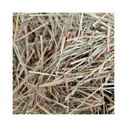 NFP Heno de Ballica Naturale 600g