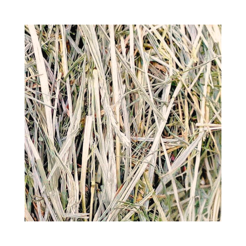 NFP Heno de Festuca Naturale 600g