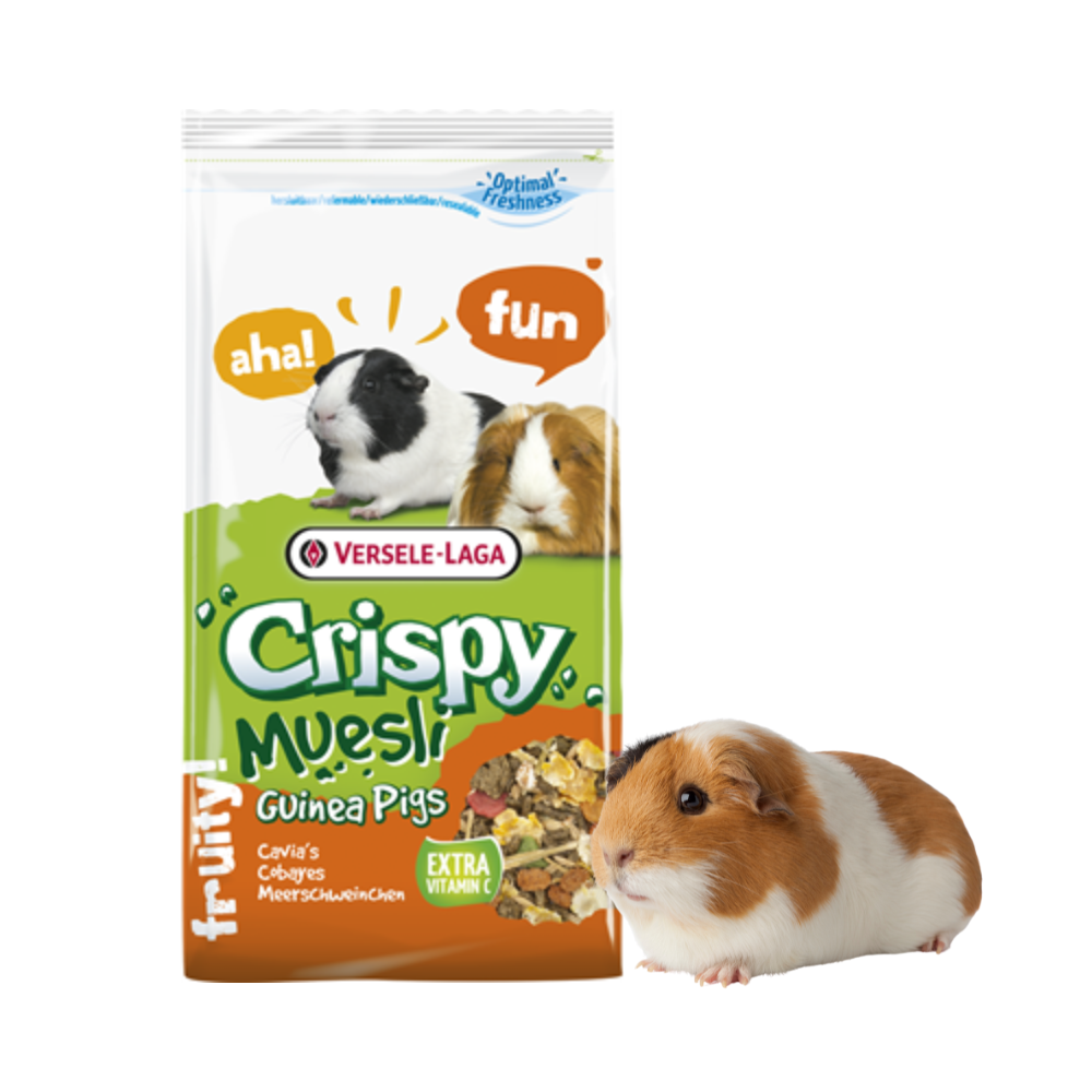 Alimento Para Cuy Crispy Muesli 400g