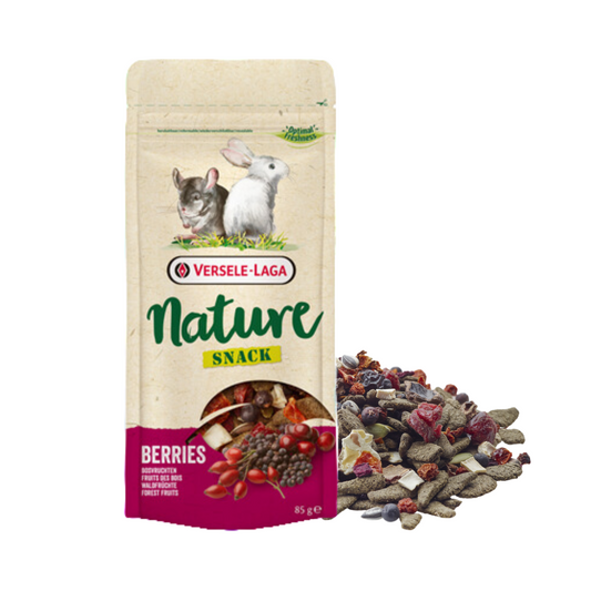 Snack Nature Berries 85g