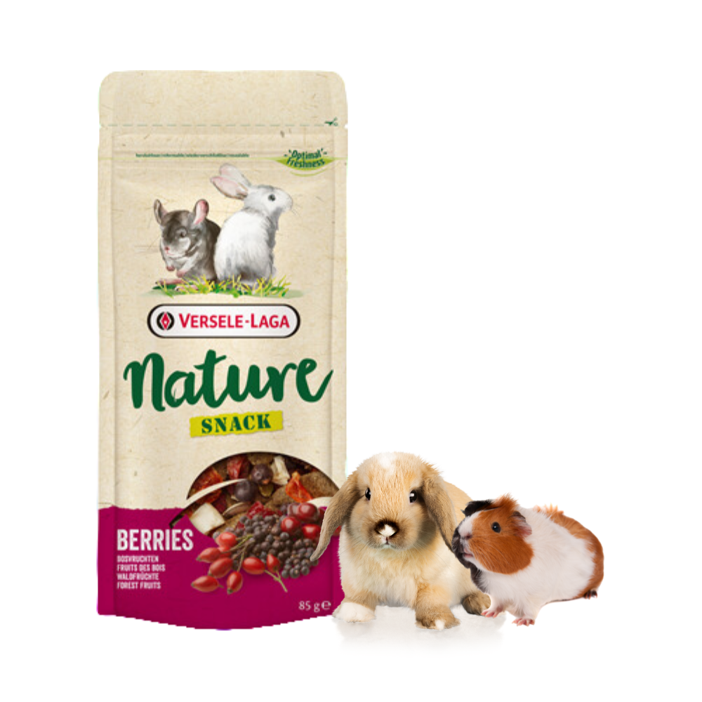 Snack Nature Berries 85g