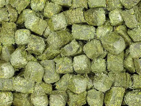 Cubos de alfalfa Premium 1kg