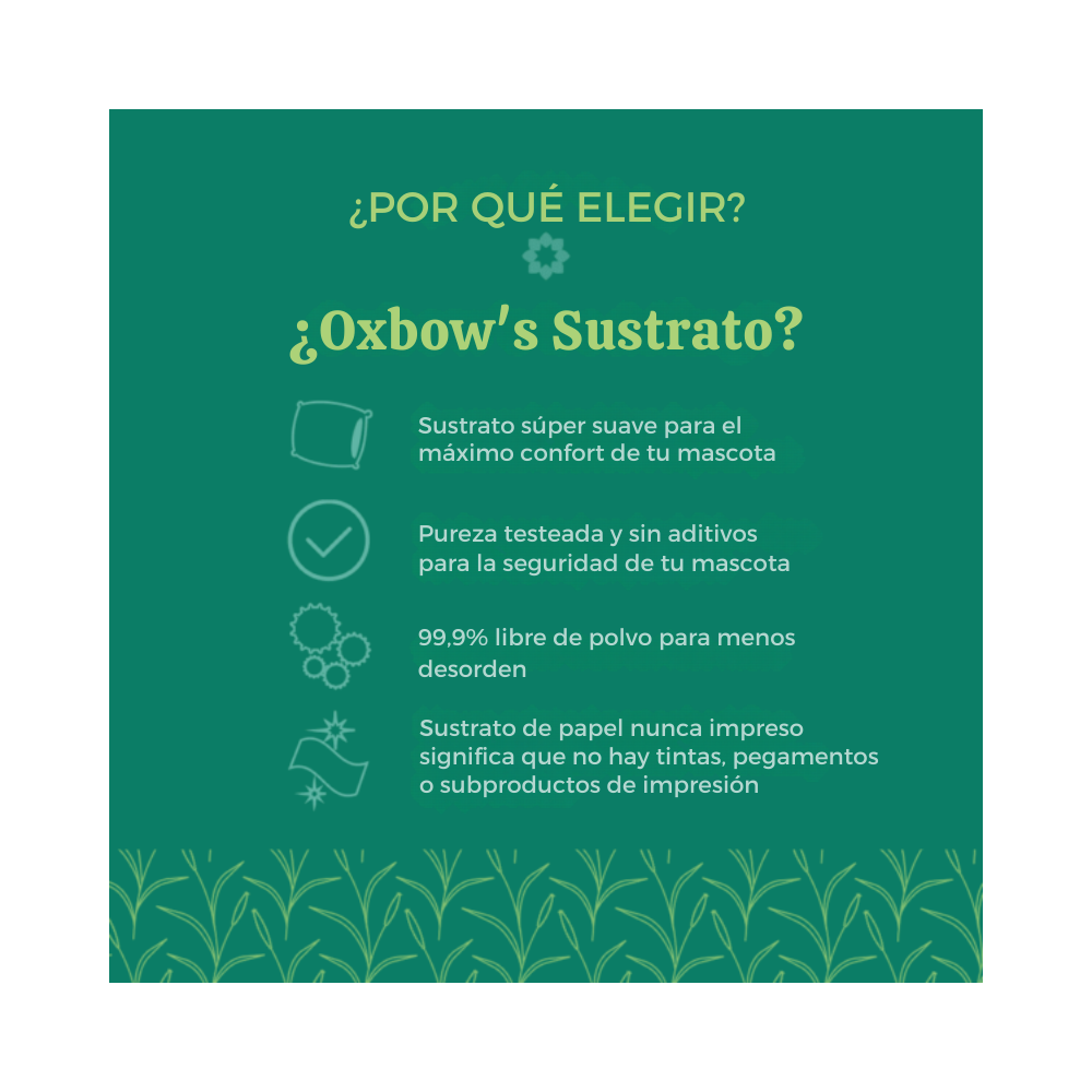 Sustrato de Papel Pure Comfort Blanco 8,2lt Oxbow