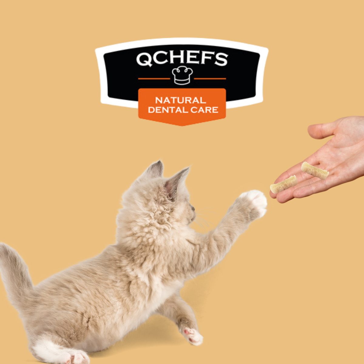 Q-Chefs Snack Dental Crocante Mmini Para Gato 60g