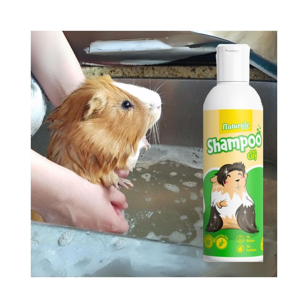 NFP Shampoo Cuy 125cc