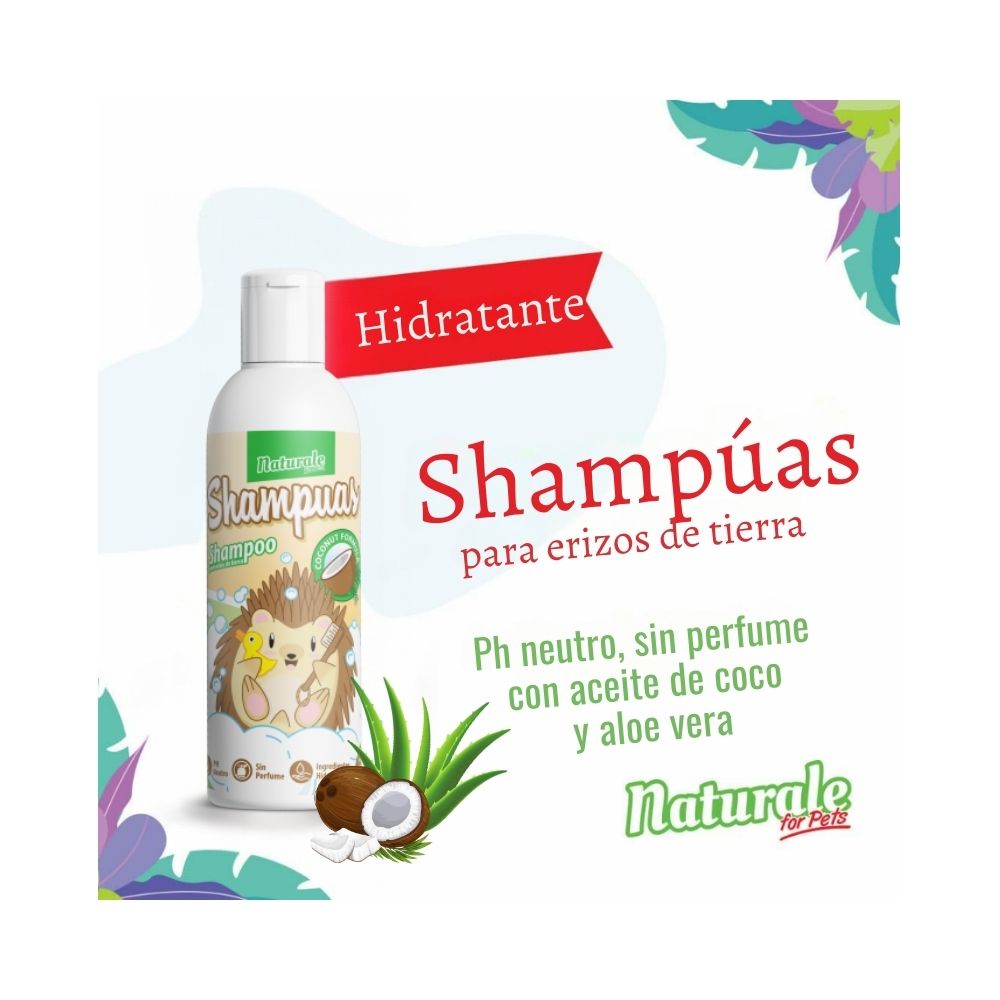 NFP Shampuas Coconut 125cc