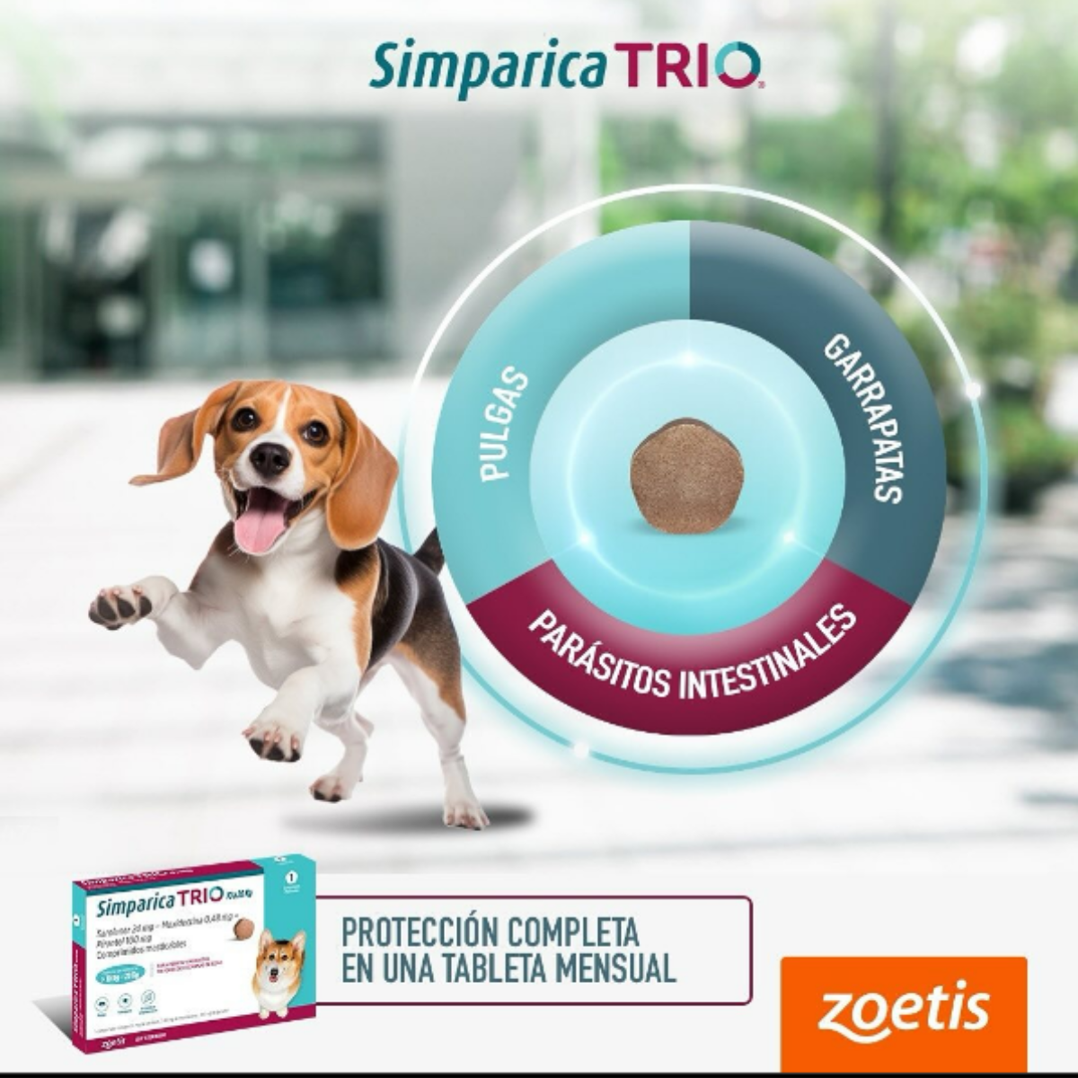 Simparica Masticable TRIO 20-40kg (3 Comp)