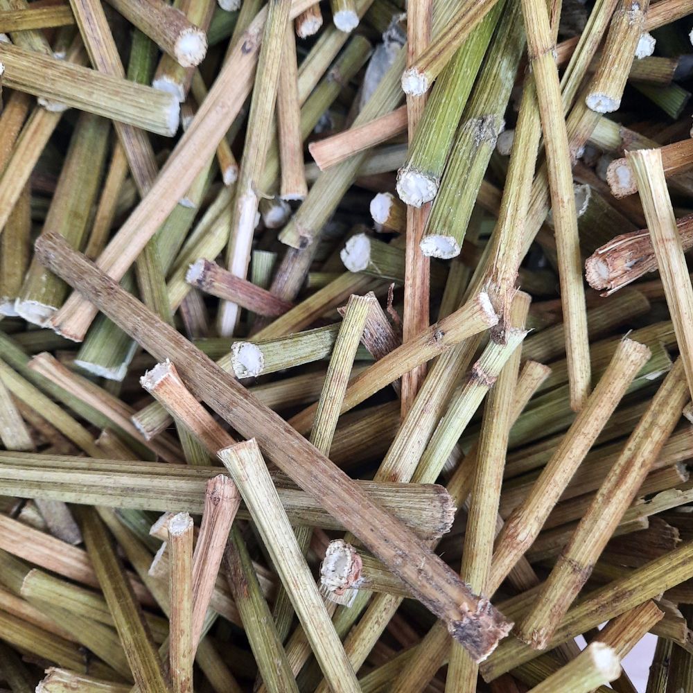 Topinambur palitos 60gr