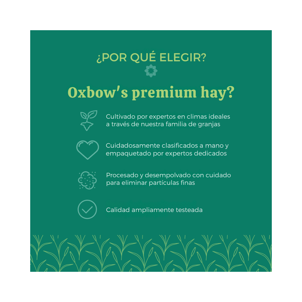 Heno de Pasto Timothy 1,13kg Oxbow