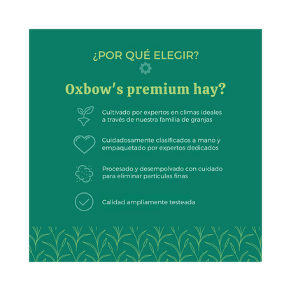 Heno de Hierba del Huerto 4kg Oxbow