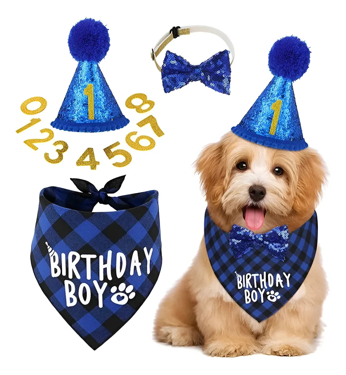 Set Decoración Disfraz Fiesta Cumpleaños Perros Cotillón