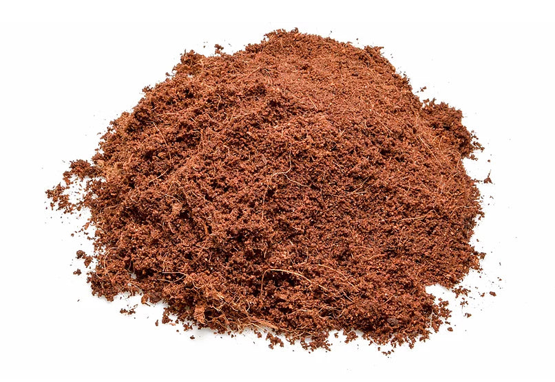 Exoterra Sustrato Tropical de Coco 650 gr