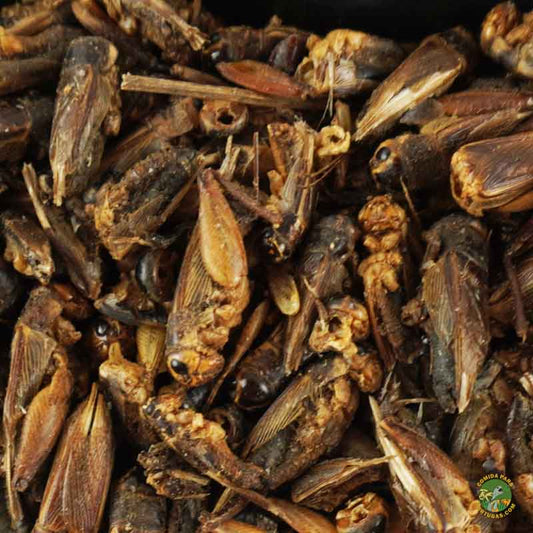 Snack Deshidratado Grillos 25g