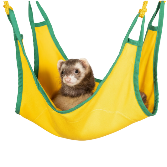 Hamaca Prevue Ferrets