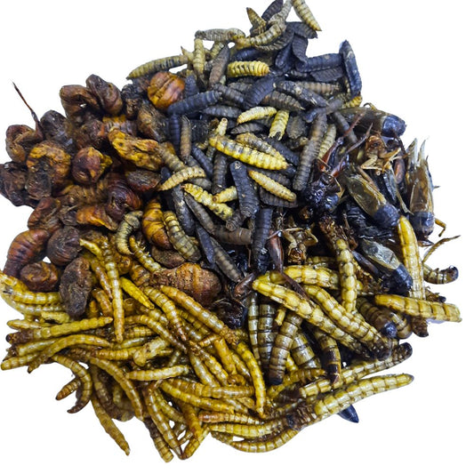Mix de Insectos Deshidratados 50g