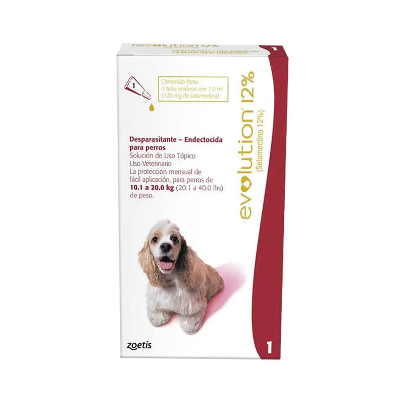 Revolution 12% perro 10,1-20kg